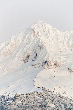 八戒呀采集到风景