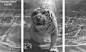 GIF (2).gif