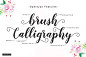 飘逸艺术英文字体 Delighted Script字体下载 