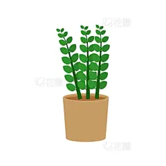 potted plant