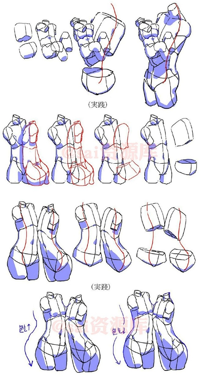 #SAI资源库# 动漫女性的体描简略化，...