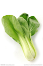 油菜