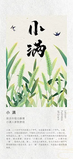 二十四节气古风中国风小满
