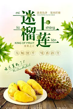 榴莲海报  - 源文件下载【酷图网】榴莲,榴莲海报,泰国榴莲,水果榴莲,榴莲文化,榴莲传单,榴莲批发,榴莲基地,海报,展板,榴莲宣传,高清榴莲,榴莲图片,榴莲图库,超市榴莲,榴莲挂画,榴莲挂图,水果海报,金枕榴莲,榴莲展板,猫山王榴莲,榴莲广告,榴莲披萨,榴莲灯箱,榴莲展架