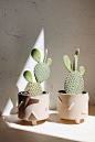 Sculptural Planters: