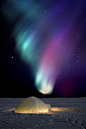 ethereo:

Igloo under Northern Lights ~ Travelust 88
