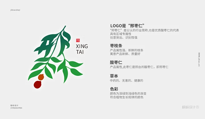 邢台酸枣仁logo设计说明-花瓣网