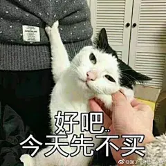 这图还有后续的啊哈哈哈哈哈哈
#萌趣##表情包##喵星人# ​​​​