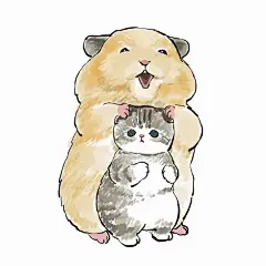 点击查看下一张