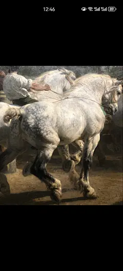 来自相册