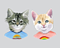 animal-illustrations-02
