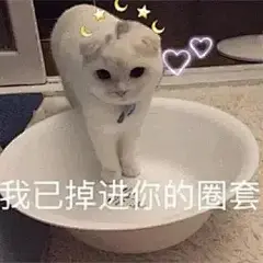 110张可爱的猫猫表情包 - 知乎