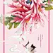 壁纸｜2017年，给你最美的十二个月 #中国风# #扁平化# #插图# #手绘# #插画# 采集@GrayKam