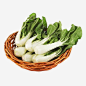 天然有机蔬菜奶白菜高清素材 天然健康 奶白菜 有机蔬菜 框装 绿色蔬菜 蔬菜 免抠png 设计图片 免费下载