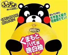 熊本熊如何成为日本人气NO.1_文章_数字媒体及职业招聘社交平台 | 数英网@DIGITALING