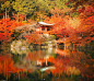 日本醍醐寺，喜欢这种寂静美 ​ ​​​​#日本旅行# ​​​​