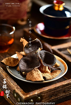 凹妮克希亚采集到陈皮