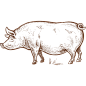 手绘素描农场动物蔬菜鸡羊牛线稿PNG透明图案 AI矢量 (153)