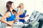 People 2048x1360 women treadmills exercising fitness model sport  running working out brunette blonde