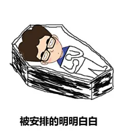 被安排的明明白白