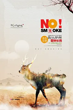 保护野生动物公益宣传海报