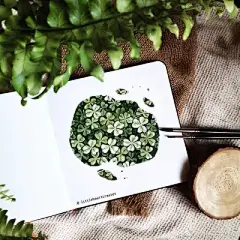 水彩---叶子 - 高清图片，堆糖，美图壁纸兴趣社区