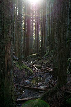 硫磺·维C采集到场景