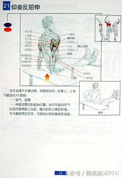 笑遥龙采集到健康