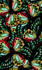 print pattern estampa like butterflies green aqua teal turquoise orange to put on ceramics: 