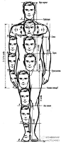 嗯...这张头身比例的参考图，简直有毒！！！！！！！ ​​​​