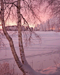 设计目录 - 北欧冬日的暮色