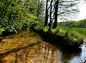 41. The cleanest babbling brook Leuvenum