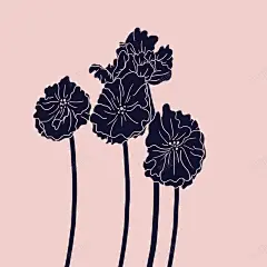 图案彩印花边A155 彩绘 手绘 浪漫 清新 玻璃 瓷器 白色 窗帘 简单 纯白 纯色 线条 色块 花好月圆 花开富贵 花纹 花边 装饰 透明 雕花 餐具 黑白 元素 免抠png 设计图片 免费下载 页面网页 平面电商 创意素材