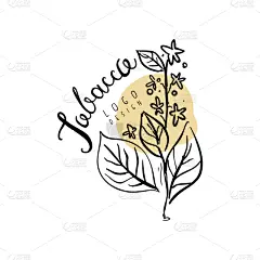 品牌名称,植物,烟草,动物手,设计元素,调味品,证章,绘制,复古