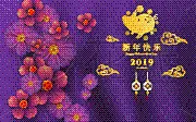 春节,幸福,2019,电话机,决心,壁纸,新年前夕,猪年,显示器,残酷的