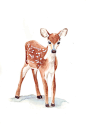 Deer Watercolor Painting print of watercolor by LouiseDeMasi