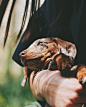 vsco5ecbf6bc2b14b.jpg (770×960)