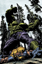 Hulk Vs Wolverine