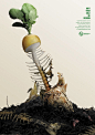 US Composting Council | GSW | It's not recycling, it's reincarnation | WE LOVE AD