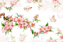 白色,白色背景,中国文化,传统节日,桃花_1b59a0543_蝶舞春色_创意图片_Getty Images China