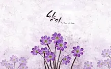 韩国唯美插画背景