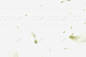 花瓣玫瑰花瓣樱花桃花飘落飘洒散落前景花瓣点缀前景点图标 UI图标 设计图片 免费下载 页面网页 平面电商 创意素材