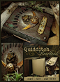 Quidditch Handbook by luthien27 on deviantART