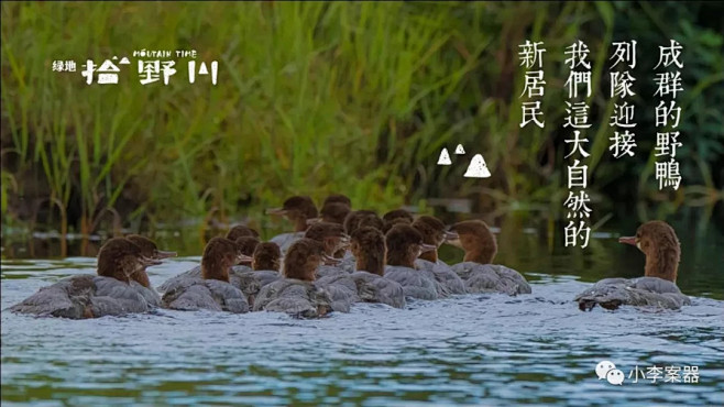 网红 绿地·拾野川 文旅提报 : 免费赠...