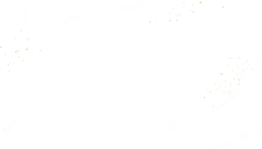 闪金