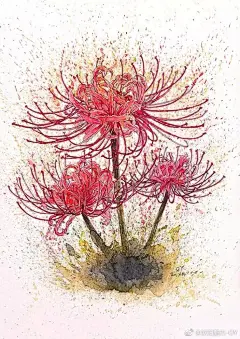 一个人就像是一朵花，来到这个世上是为了怒放的。如果你因为害怕凋零，而选择了不绽放，或者选择半死不活地活着，那么你就白白浪费了上天的美意。#设计秀##插画狂想# ​​​​
