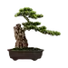 中式日式仿真迎客松绿植盆景微观造景悬崖石头造型手工艺品摆件-淘宝网