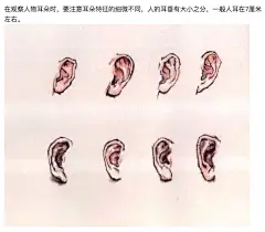 【  白伯骅 · 写意仕女画法 …  】 ​​​​