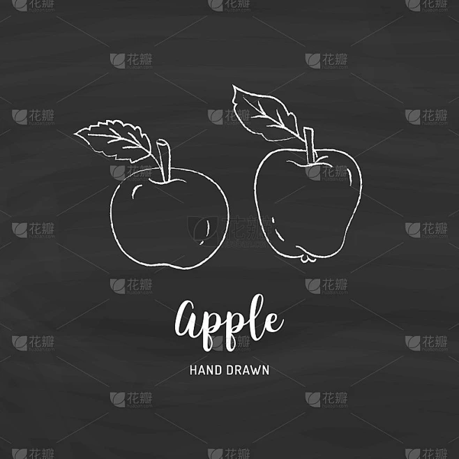 Apple drawing Vector hand drawn apples. Sketch of 素材-花瓣网