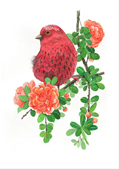 廖小萌的_采集到插画-水彩